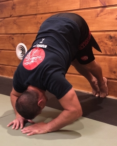 Fitness training
